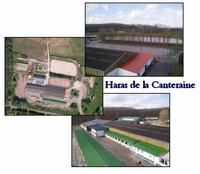 HARAS DE LA CANTERAINE